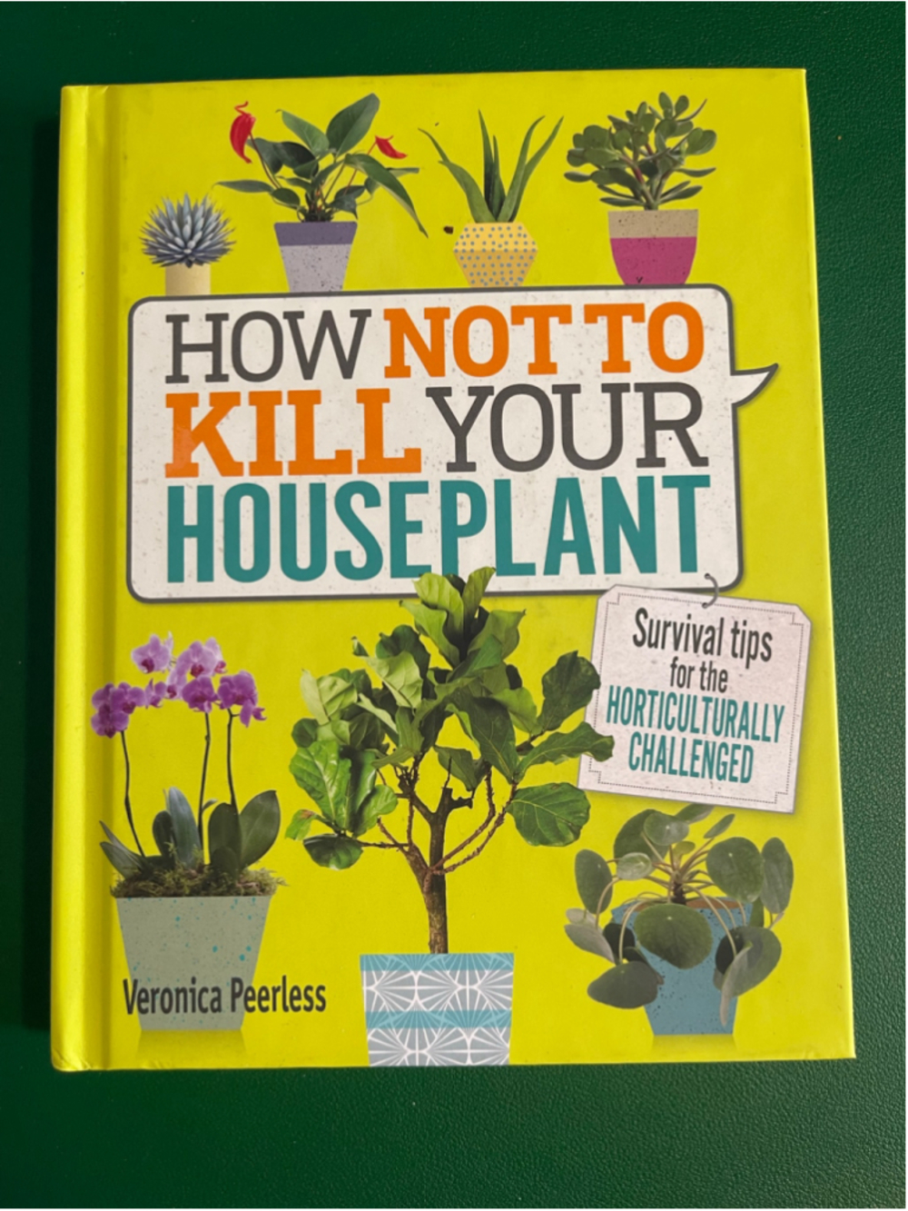 DK How Not To Kill Your Houseplant